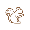 pictogramme d'un écureuil marron reprenant l'idée du bois naturel pour les granulés de Kit Forêt