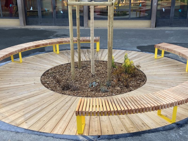 assise de bancs en bois autour d'un arbre