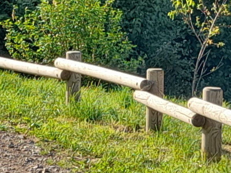 barrière en rondins de bois en quinconce