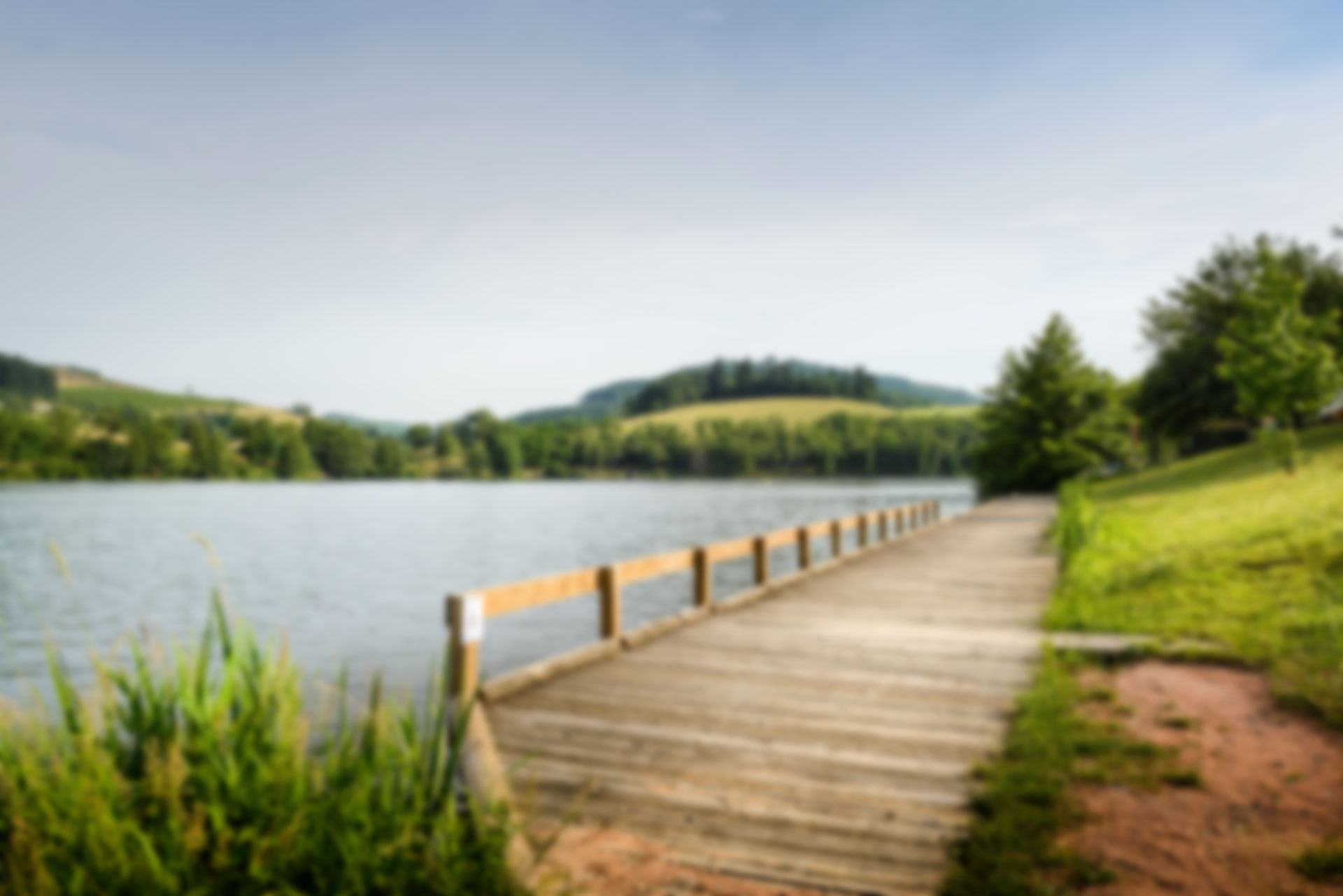 promenade en bois