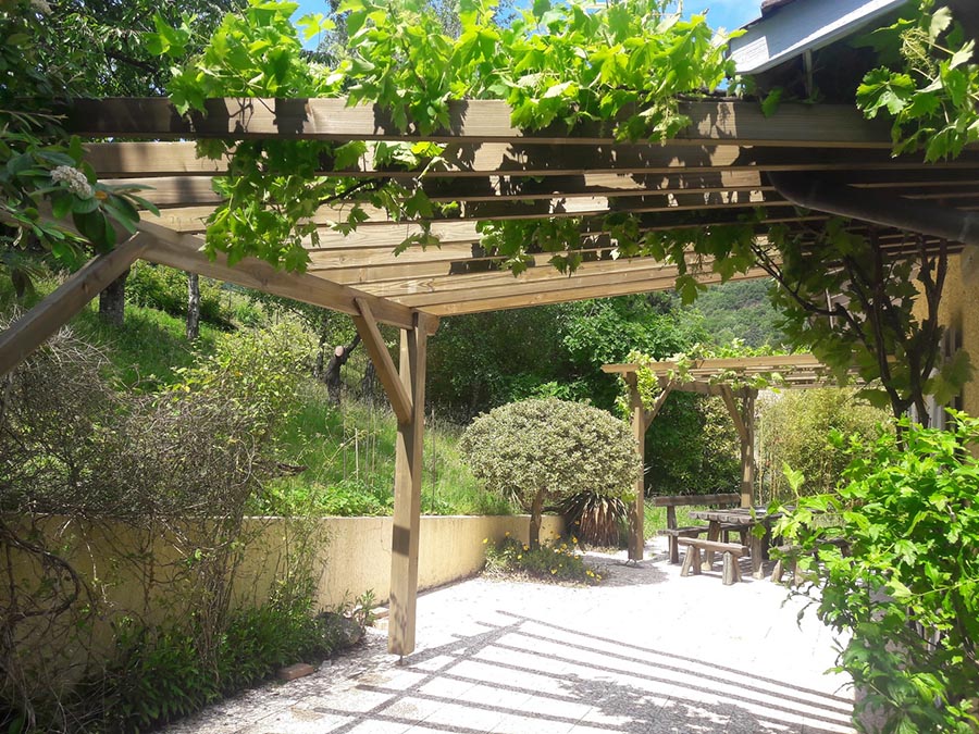 pergola en bois agrémentée de verdure et de vigne grimpante